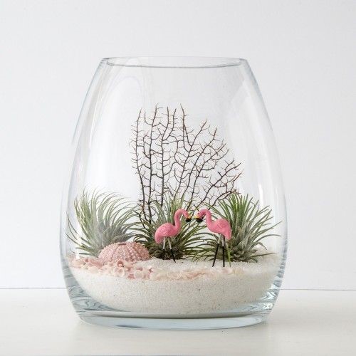 vase terranium