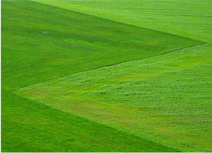 Conseils choisir terrain viabilisé