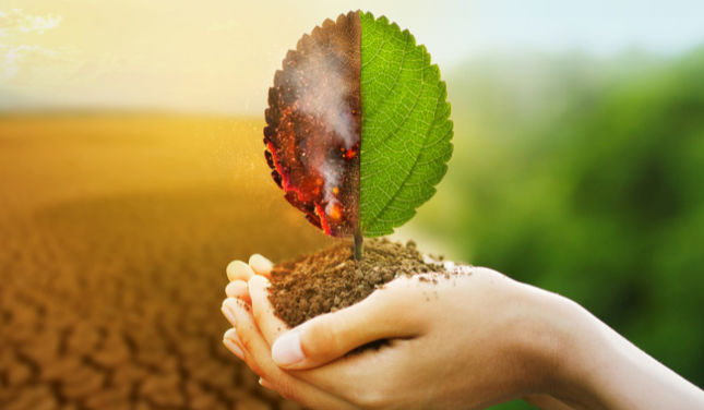 loi climat et immobilier les consequences