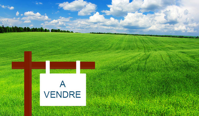 vendre-son-terrain-avec-un-promoteur-1.jpg